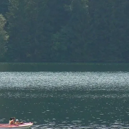 Scenic Near View فيلة *