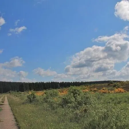 فيلة Scenic Near View *