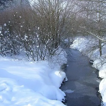 فيلة Scenic Near View