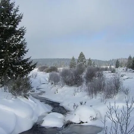 Scenic Near View فيلة *