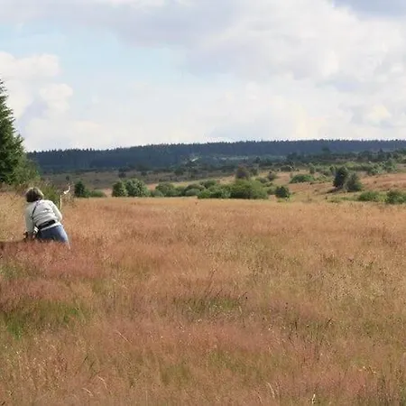 Scenic Near View فيلة وايمس